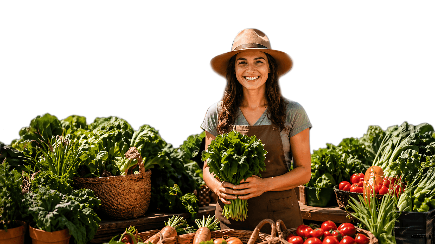 Farmers market guide article cover image